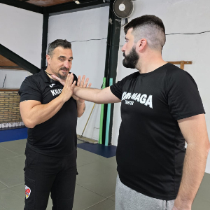 Krav Maga